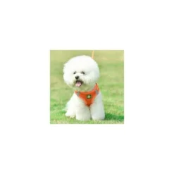 Harnais Chien, Harnais Chien Anti Traction, Chien Corde, Harnais Pour Petit Moyen Et Grand Chien, Bleu Ciel, M -Promos Patto Chou Boutique 96715791 3