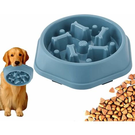 1 Gamelle Anti Gourmandise Chien Gamelle Anti Gourmandise Anti Gourmandise Chat Gamelle Chien Anti Gourmandise Gamelle Anti Gourmandise Chien Gamelle Anti Gourmandise Chien Gamelle Anti Gourmandise Ch 1 1 Gamelle Anti Gourmandise Chien Gamelle Anti Gourmandise Anti Gourmandise Chat Gamelle Chien Anti Gourmandise Gamelle Anti Gourmandise Chien Gamelle Anti Gourmandise Chien Gamelle Anti Gourmandise Ch