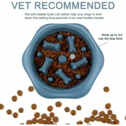 1 Gamelle Anti Gourmandise Chien Gamelle Anti Gourmandise Anti Gourmandise Chat Gamelle Chien Anti Gourmandise Gamelle Anti Gourmandise Chien Gamelle Anti Gourmandise Chien Gamelle Anti Gourmandise Ch 6 1 Gamelle Anti Gourmandise Chien Gamelle Anti Gourmandise Anti Gourmandise Chat Gamelle Chien Anti Gourmandise Gamelle Anti Gourmandise Chien Gamelle Anti Gourmandise Chien Gamelle Anti Gourmandise Ch -Promos Patto Chou Boutique 97004235 3