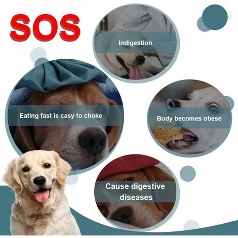 1 Gamelle Anti Gourmandise Chien Gamelle Anti Gourmandise Anti Gourmandise Chat Gamelle Chien Anti Gourmandise Gamelle Anti Gourmandise Chien Gamelle Anti Gourmandise Chien Gamelle Anti Gourmandise Ch 4 1 Gamelle Anti Gourmandise Chien Gamelle Anti Gourmandise Anti Gourmandise Chat Gamelle Chien Anti Gourmandise Gamelle Anti Gourmandise Chien Gamelle Anti Gourmandise Chien Gamelle Anti Gourmandise Ch â Image 4