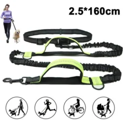 Laisse Pour Chien, Laisse Mains Libres Améliorée Avec Deux élastiques, Longue Laisse En Nylon Avec Sangle De Taille Réglable (vert Vif)