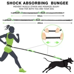 Laisse Pour Chien, Laisse Mains Libres Améliorée Avec Deux élastiques, Longue Laisse En Nylon Avec Sangle De Taille Réglable (vert Vif) -Promos Patto Chou Boutique 97535912 5