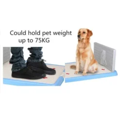 Plateau De Pot D'Intérieur Pour Chiot De Chien De Compagnie Avec Mur De Simulation De Protection De Poteau De Pipi, Toilette De Chien De Coussin De Chiot Non Déchiré -Promos Patto Chou Boutique 97539509 5
