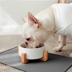 Tapis De Bol, Pour Chiens Et Chats, Tapis De Bol D'Alimentation En Silicone Imperméable Et Antidérapant Pour Bols D'Alimentation, Bol D'Eau, Tapis D'Alimentation, -Promos Patto Chou Boutique 97541809 3