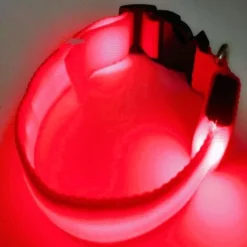 Collier Lumineux LED Rechargeable Pour Chien Collier Lumineux Réfléchissant Réglable
