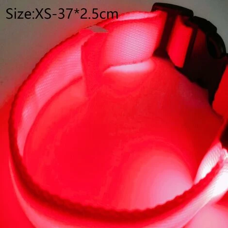 Collier Lumineux LED Rechargeable Pour Chien Collier Lumineux Réfléchissant Réglable 2 Collier Lumineux LED Rechargeable Pour Chien Collier Lumineux Réfléchissant Réglable – Image 2