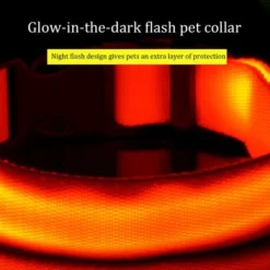 Collier Lumineux LED Rechargeable Pour Chien Collier Lumineux Réfléchissant Réglable 7 Collier Lumineux LED Rechargeable Pour Chien Collier Lumineux Réfléchissant Réglable -Promos Patto Chou Boutique 97559295 3
