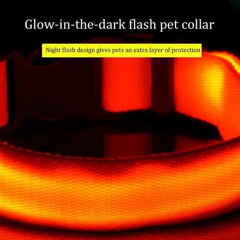 Collier Lumineux LED Rechargeable Pour Chien Collier Lumineux Réfléchissant Réglable 3 Collier Lumineux LED Rechargeable Pour Chien Collier Lumineux Réfléchissant Réglable – Image 3