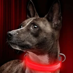 Collier Lumineux LED Rechargeable Pour Chien Collier Lumineux Réfléchissant Réglable 8 Collier Lumineux LED Rechargeable Pour Chien Collier Lumineux Réfléchissant Réglable -Promos Patto Chou Boutique 97559295 4