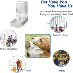 Distributeur Automatique De Nourriture Et D'eau Par Gravité Pour Chiens Et Chats Avec Bol De Nourriture Pour Animaux De Compagnie -Promos Patto Chou Boutique 97566900 5