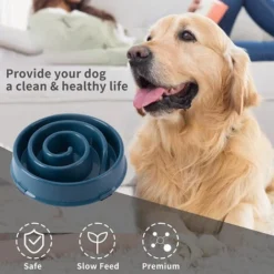 Bol à Alimentation Lente Pour Chien, Plats D'alimentation Plus Lents Pour Animaux De Compagnie Anti-avalement -Promos Patto Chou Boutique 97629868 4
