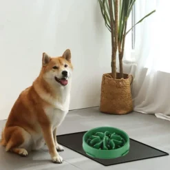 Bol à Alimentation Lente Pour Grand Chien, Durable, Ralentit Efficacement La Vitesse D'alimentation Du Chien, Chiens De Taille Moyenne -Promos Patto Chou Boutique 97636689 5
