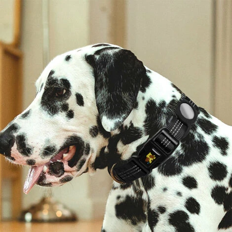 Collier De Chien Robuste Avec Boîte De Support, Collier D'Accessoire Réglable Pour Animal De Compagnie 3 Collier De Chien Robuste Avec Boîte De Support, Collier D'Accessoire Réglable Pour Animal De Compagnie – Image 3