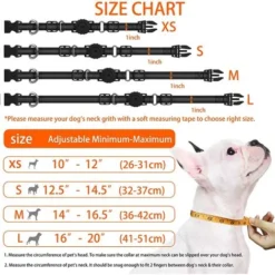 Collier De Chien Robuste Avec Boîte De Support, Collier D'Accessoire Réglable Pour Animal De Compagnie 8 Collier De Chien Robuste Avec Boîte De Support, Collier D'Accessoire Réglable Pour Animal De Compagnie -Promos Patto Chou Boutique 97667608 4