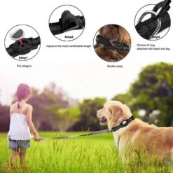 Collier De Chien Robuste Avec Boîte De Support, Collier D'Accessoire Réglable Pour Animal De Compagnie 9 Collier De Chien Robuste Avec Boîte De Support, Collier D'Accessoire Réglable Pour Animal De Compagnie -Promos Patto Chou Boutique 97667608 5