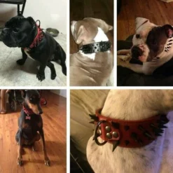 Superbe Réglable Style Punk Sharp Pointes PU Cuir Pet Dog Colliers Pour Chiens Moyens Grands Chiens L(33-61CM)Lefou -Promos Patto Chou Boutique 97672650 5