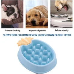 Bol Pour Chien à Alimentation Lente Anti-déglutition Alimentation Saine Arrêt Du Ballonnement Interactif Alternative Amusante Alternative Antidérapante Pour Chien Alimentation Lente Bol Pour Animaux D 7 Bol Pour Chien à Alimentation Lente Anti-déglutition Alimentation Saine Arrêt Du Ballonnement Interactif Alternative Amusante Alternative Antidérapante Pour Chien Alimentation Lente Bol Pour Animaux D -Promos Patto Chou Boutique 97745107 3