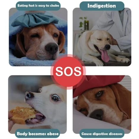 Bol Pour Chien à Alimentation Lente Anti-déglutition Alimentation Saine Arrêt Du Ballonnement Interactif Alternative Amusante Alternative Antidérapante Pour Chien Alimentation Lente Bol Pour Animaux D 5 Bol Pour Chien à Alimentation Lente Anti-déglutition Alimentation Saine Arrêt Du Ballonnement Interactif Alternative Amusante Alternative Antidérapante Pour Chien Alimentation Lente Bol Pour Animaux D – Image 5