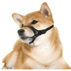 Muselière En Nylon Pour Petits, Moyens Et Grands Chiens Empêche Les Morsures, Les Aboiements Et La Mastication, Boucle Réglable -Promos Patto Chou Boutique 98864893 5