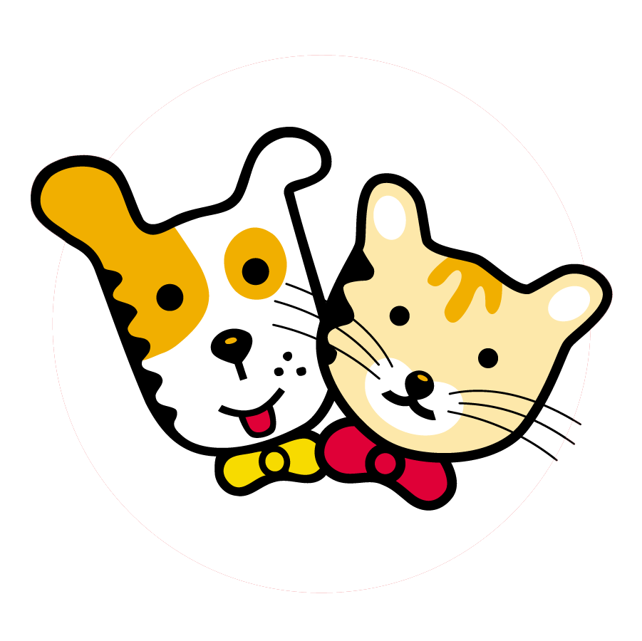 Promos Patto Chou Boutique